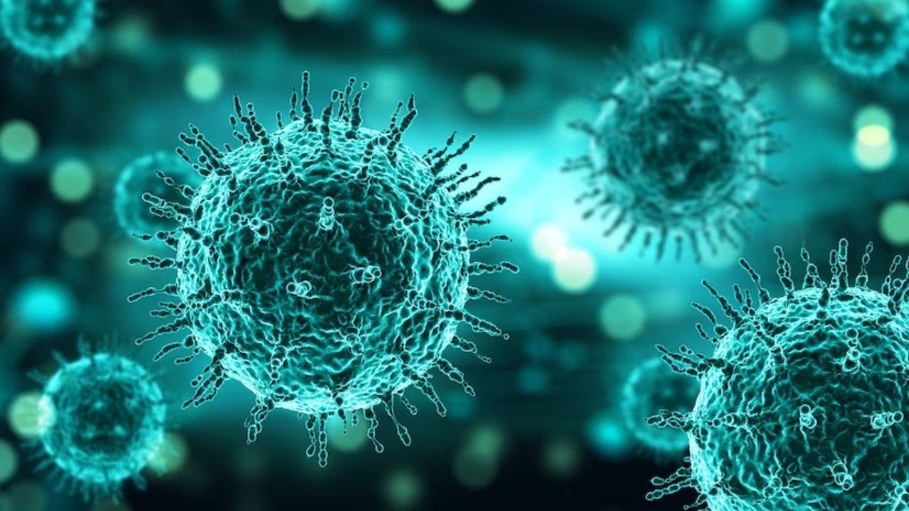 How Covid 19 Can Affect the immune System
