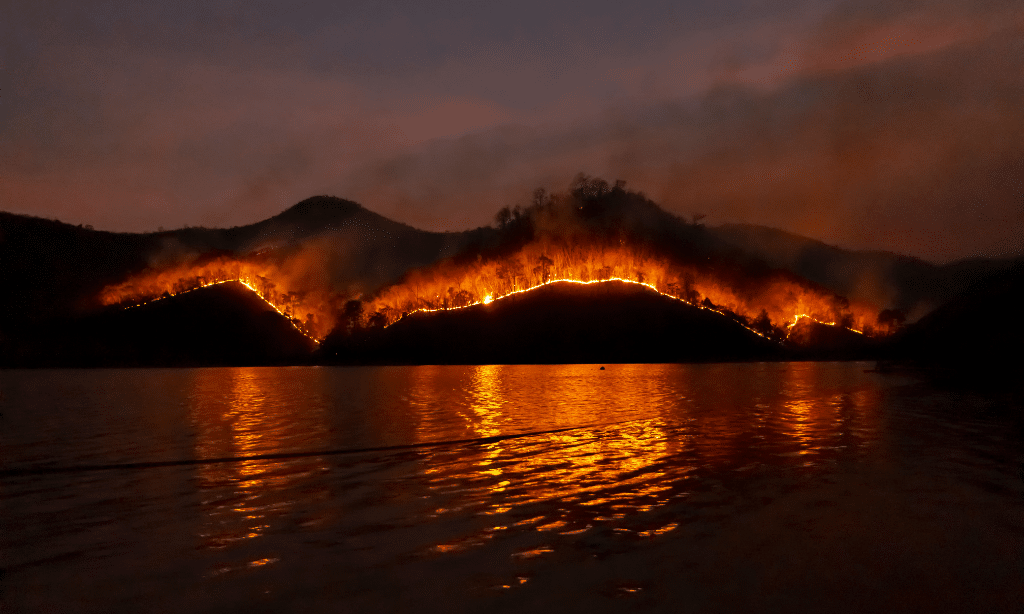 Impact of Wildfires on Hawaii Travel