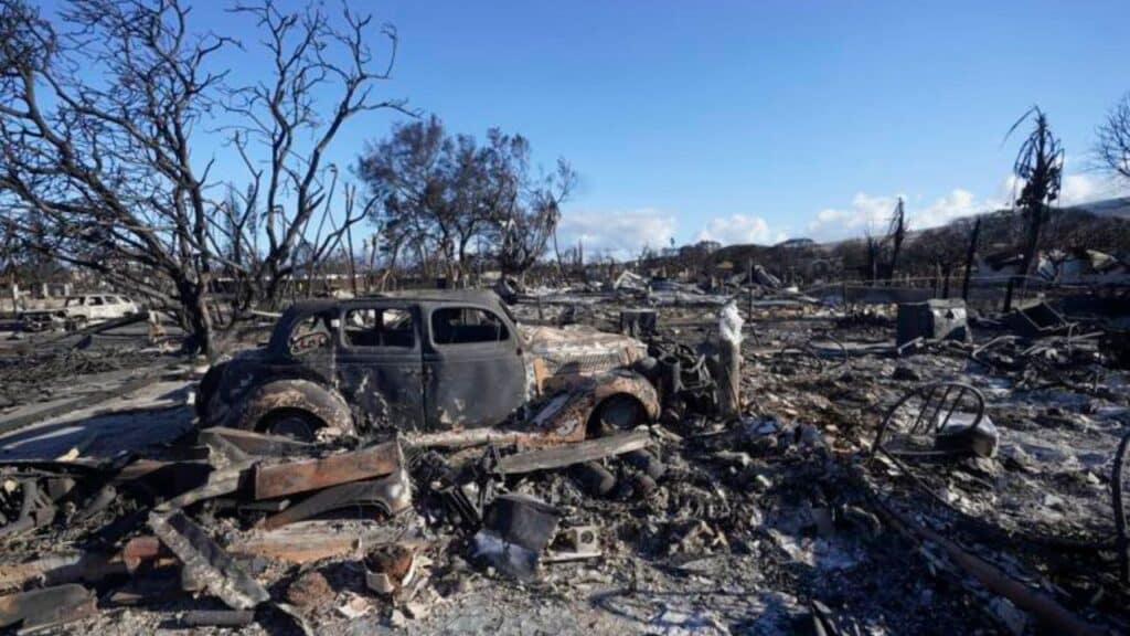 Maui Wildfires