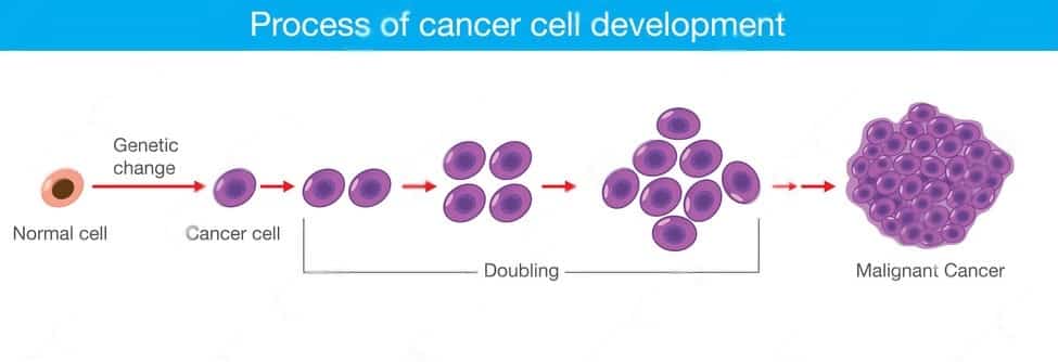 Process of cancer cell development