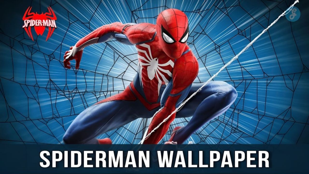 Spider Man 4 Ultra HD Desktop Background Wallpaper for 4K UHD TV  Tablet   Smartphone