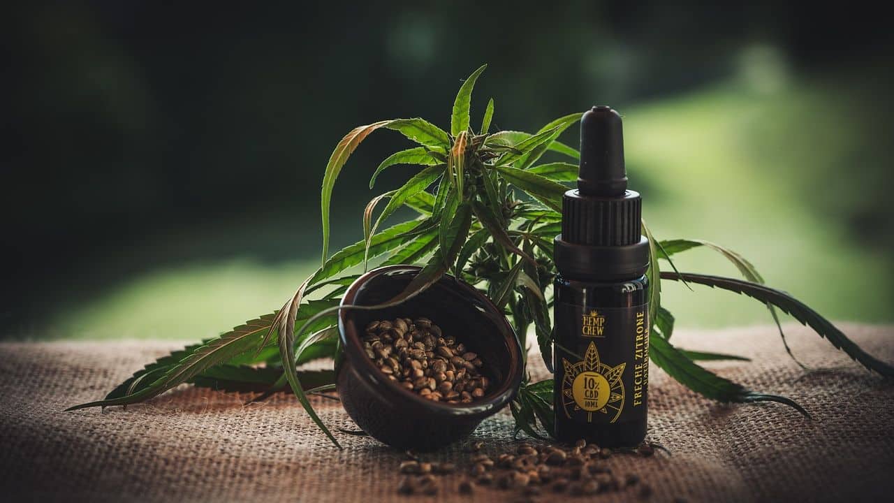 Learn More: How to Find Good CBD Products