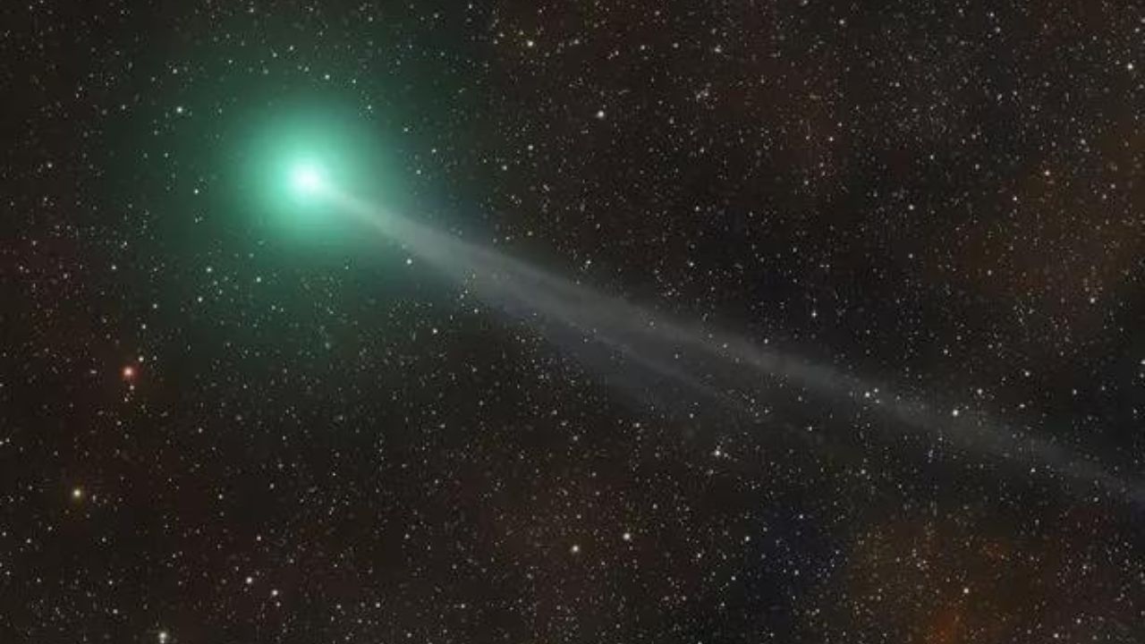 How to See Comet Nishimura