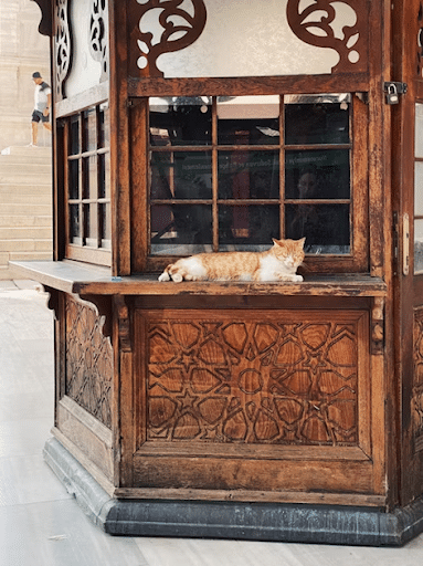 Modern Sideboards