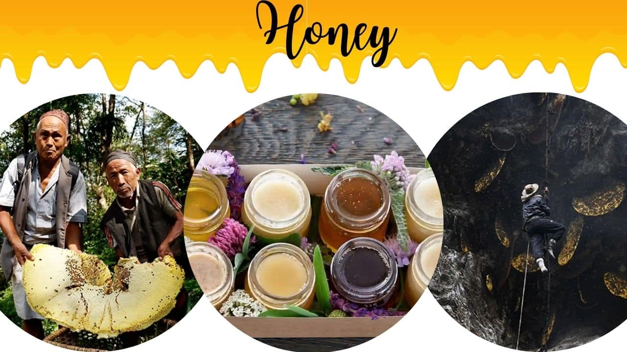 Ancient Tradition Harvesting Honey from Cliffs