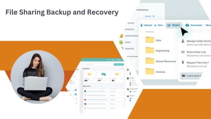 File Sharing Backup and Recovery