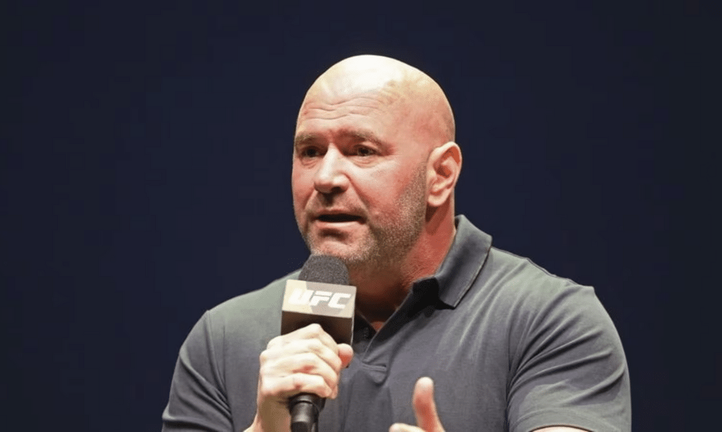 Overview of Dana White