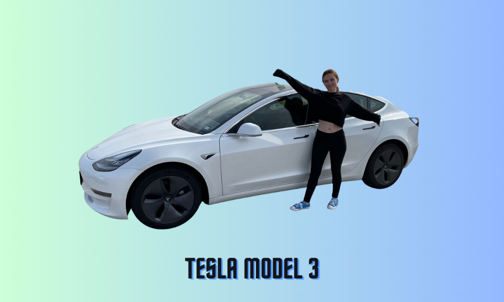 Tesla Model 3 Owners Reviews