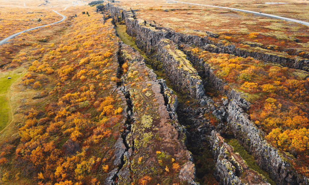 tectonic plate