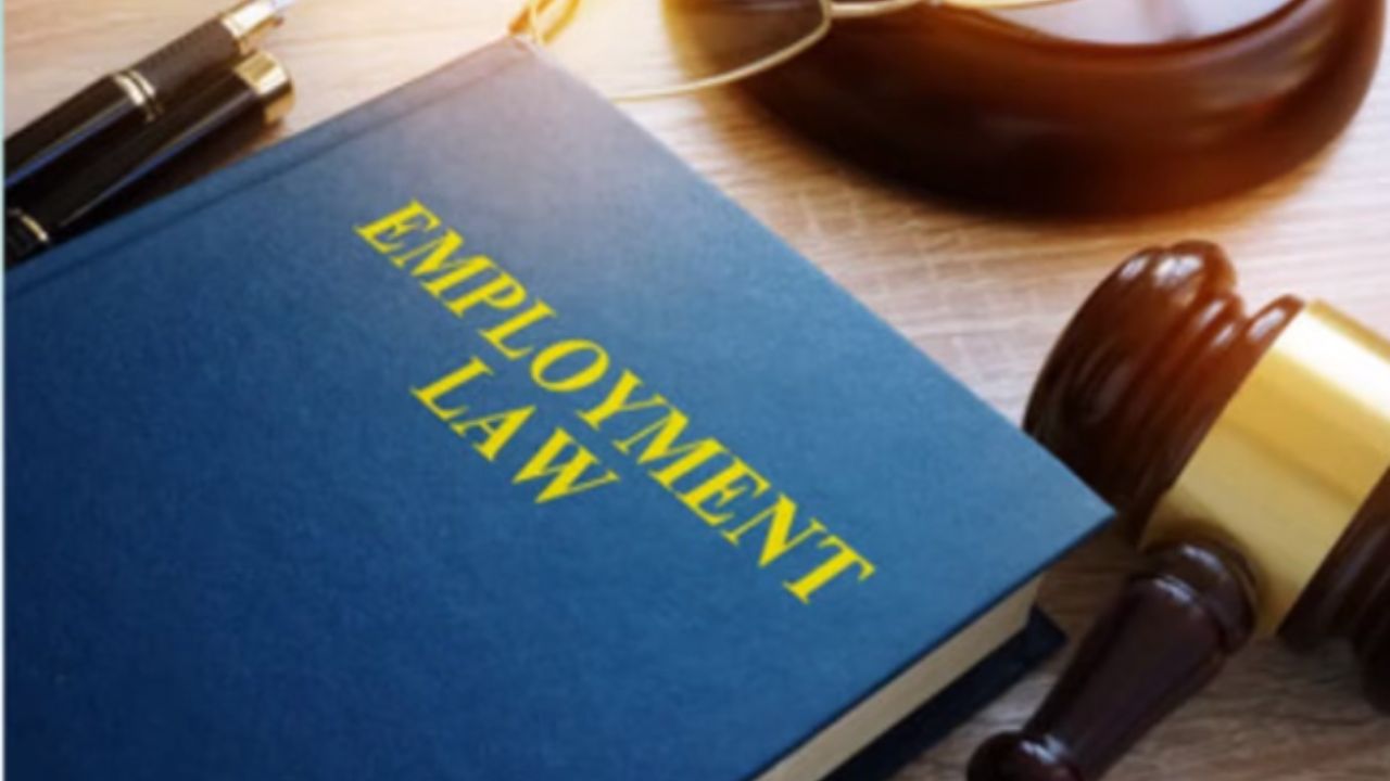 Employee Rights and Employment Law