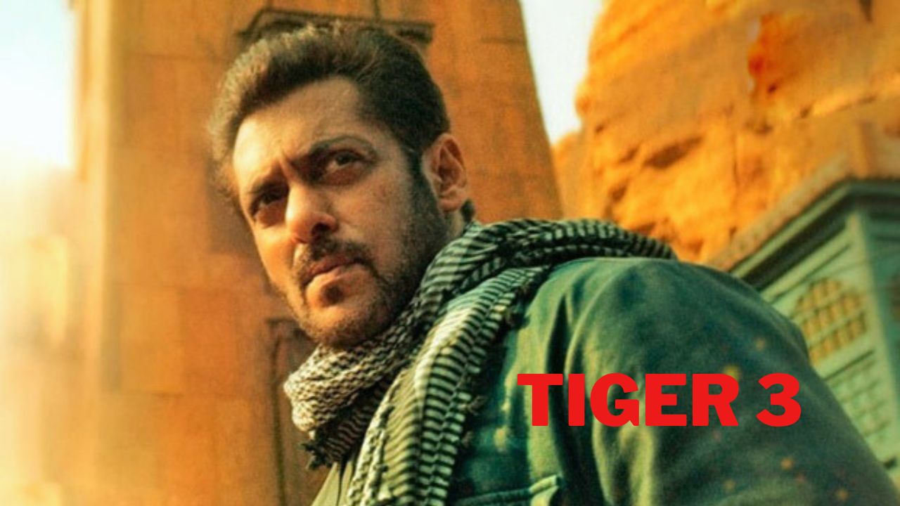 Salman’s ‘Tiger 3’ Roars at Box Office with Record Rs 44.5 cr Opening on Diwali