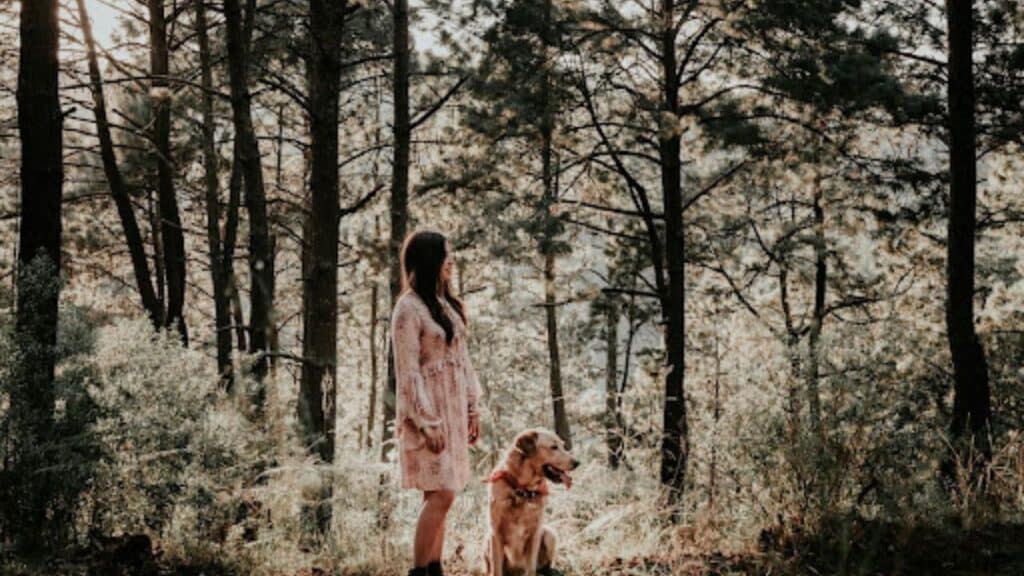 Ultimate Guide to Dog Ownership