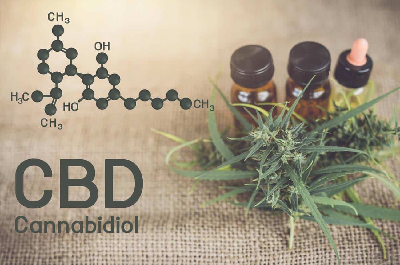 cbd oil