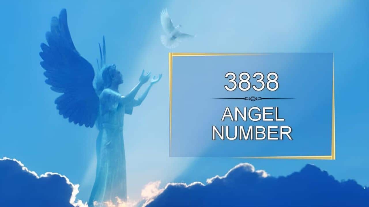 3838 Angel Number