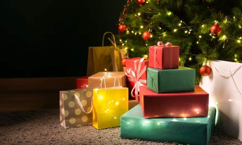 Christmas Gifts Under $20