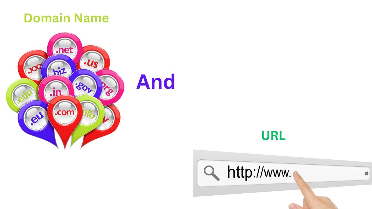 Domain Name and URL