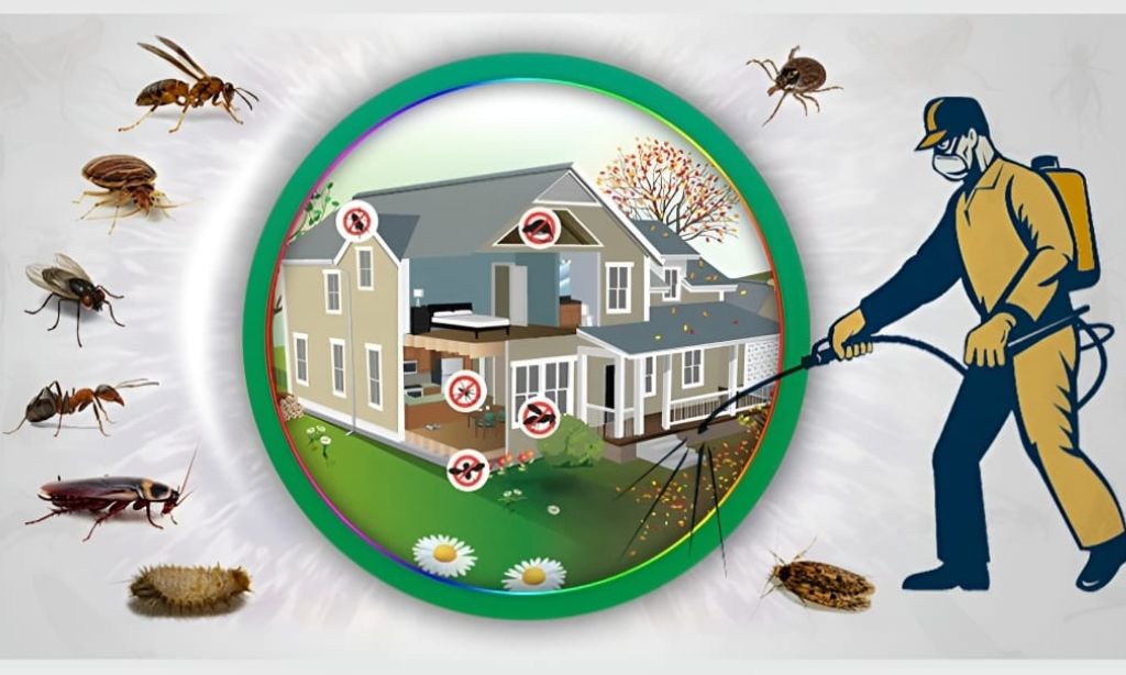 best Pest Control Methods