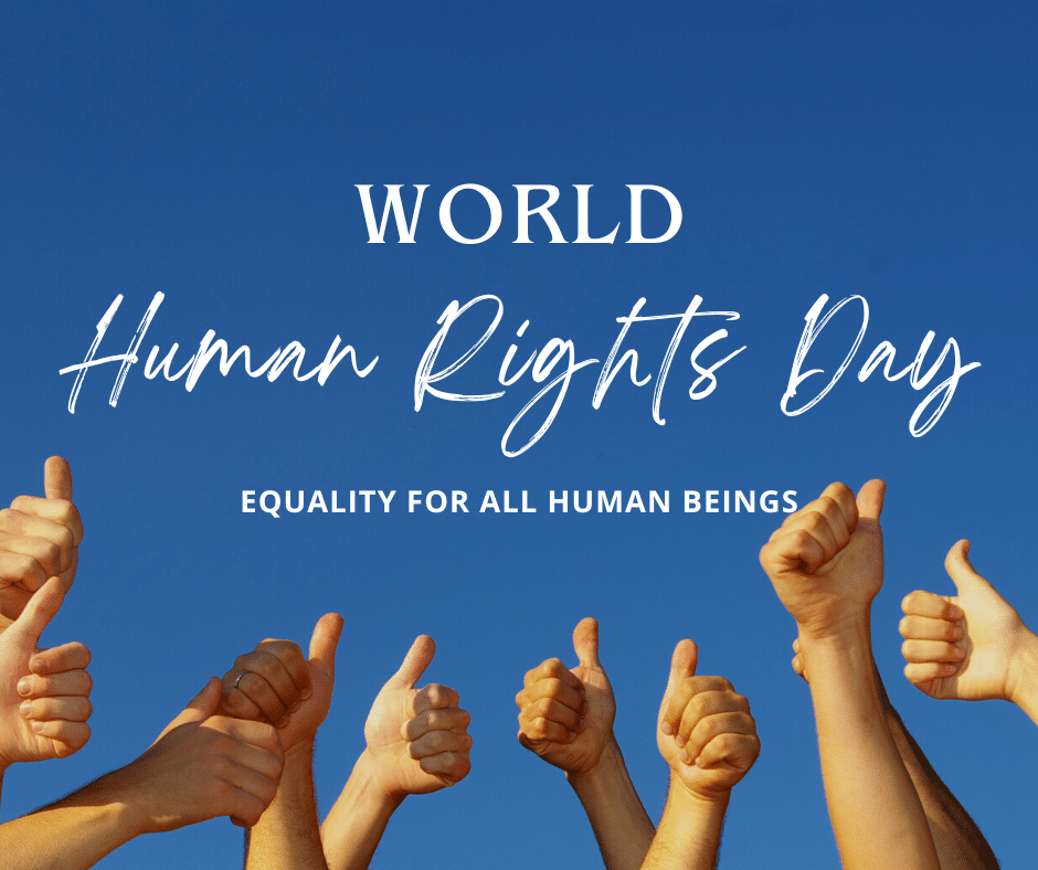 world human rights day 2023 celebrations