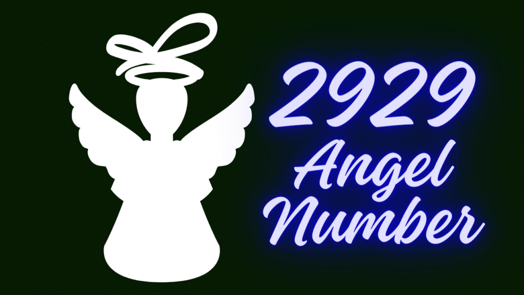 2929 Angel Number