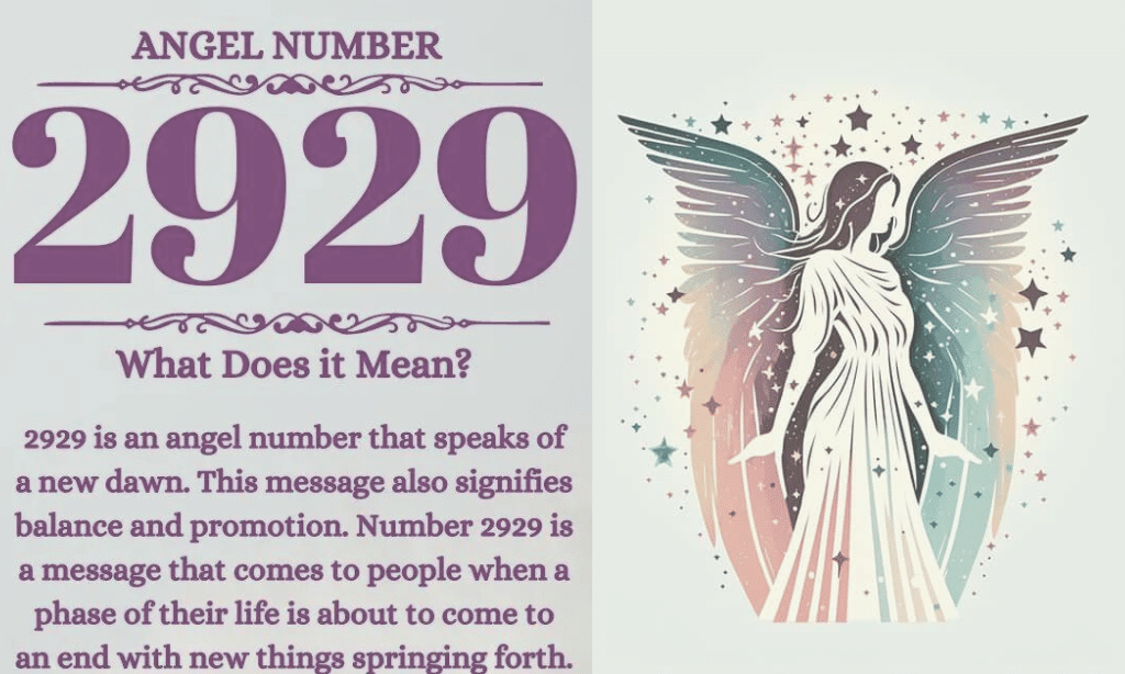 manifestation of angel number 2929