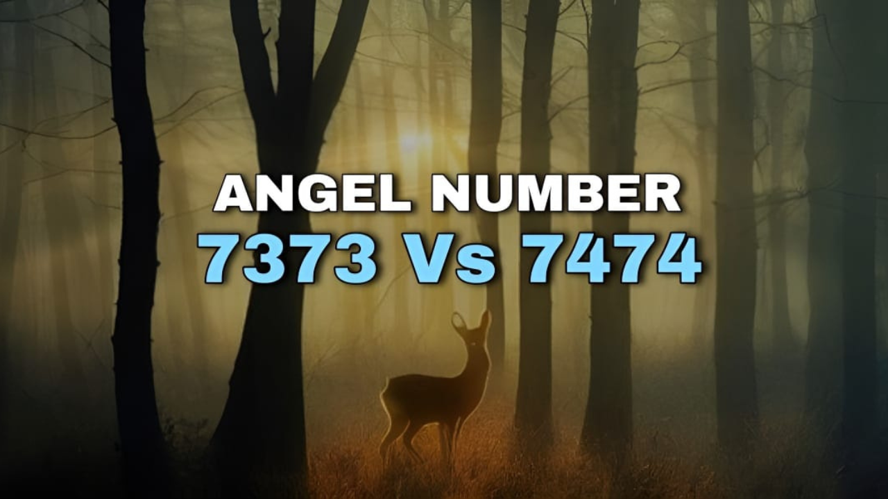 7373 angel number vs 7474 angel number