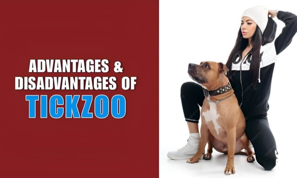 Advantages and Disadvantages of Tickzoo