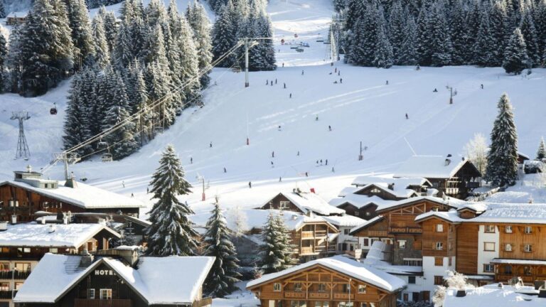 Ski Chalet Holidays in France