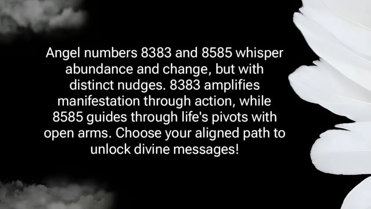 Angel Number 8383 vs. 8585