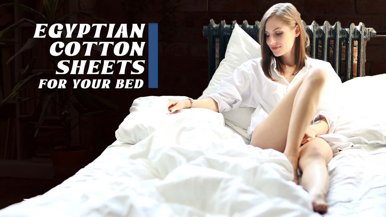 Egyptian Cotton Sheets for Your Bed