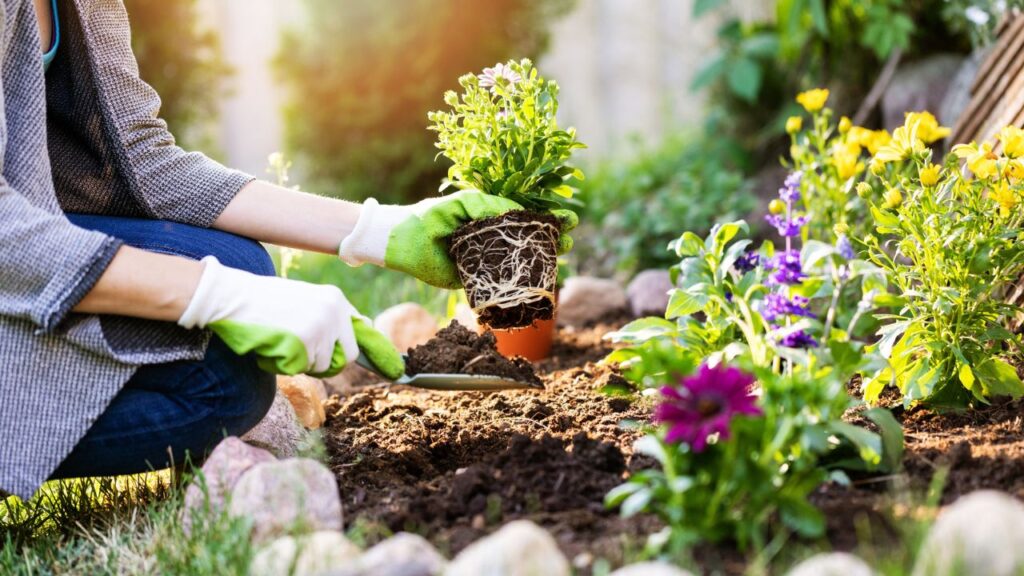 Gardening Tips And Tricks Easier
