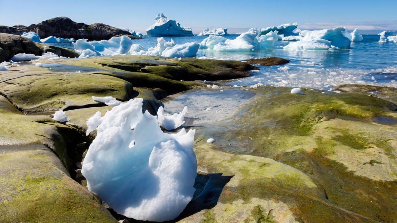 Greenland Getting Greener Global Consequences