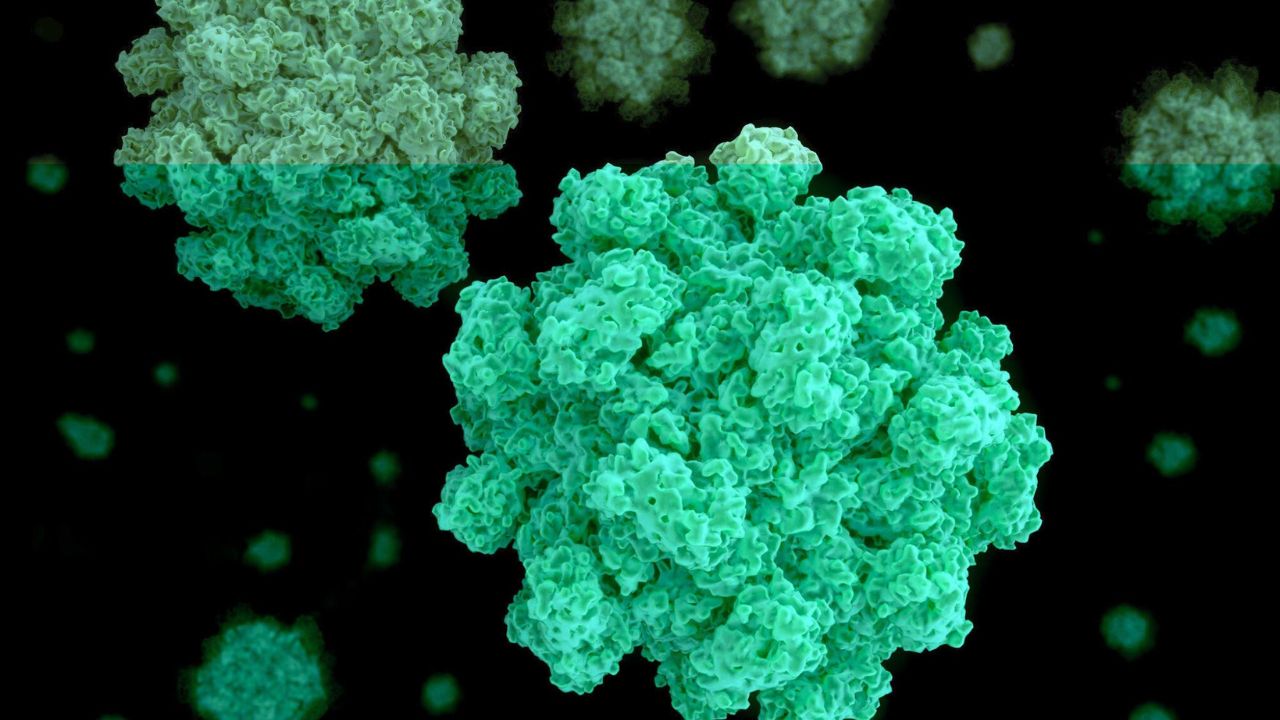 Norovirus Outbreak Northeast CDC Data