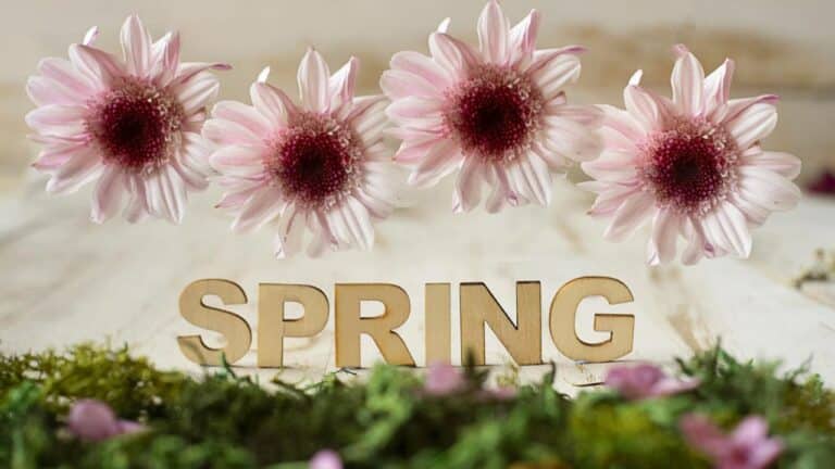 when is the first day of spring in the us 2024