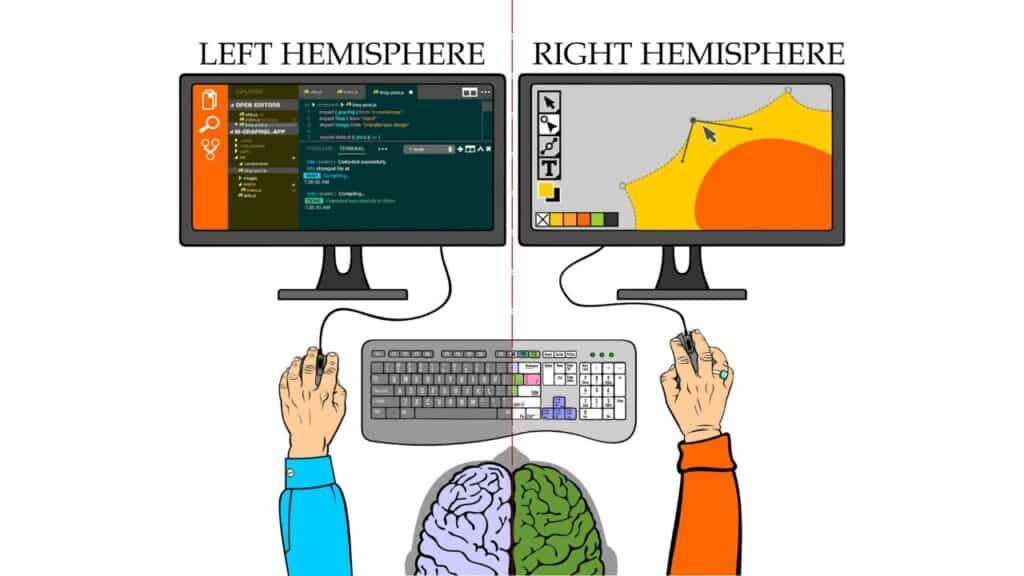 Left Brain vs Right Brain Test