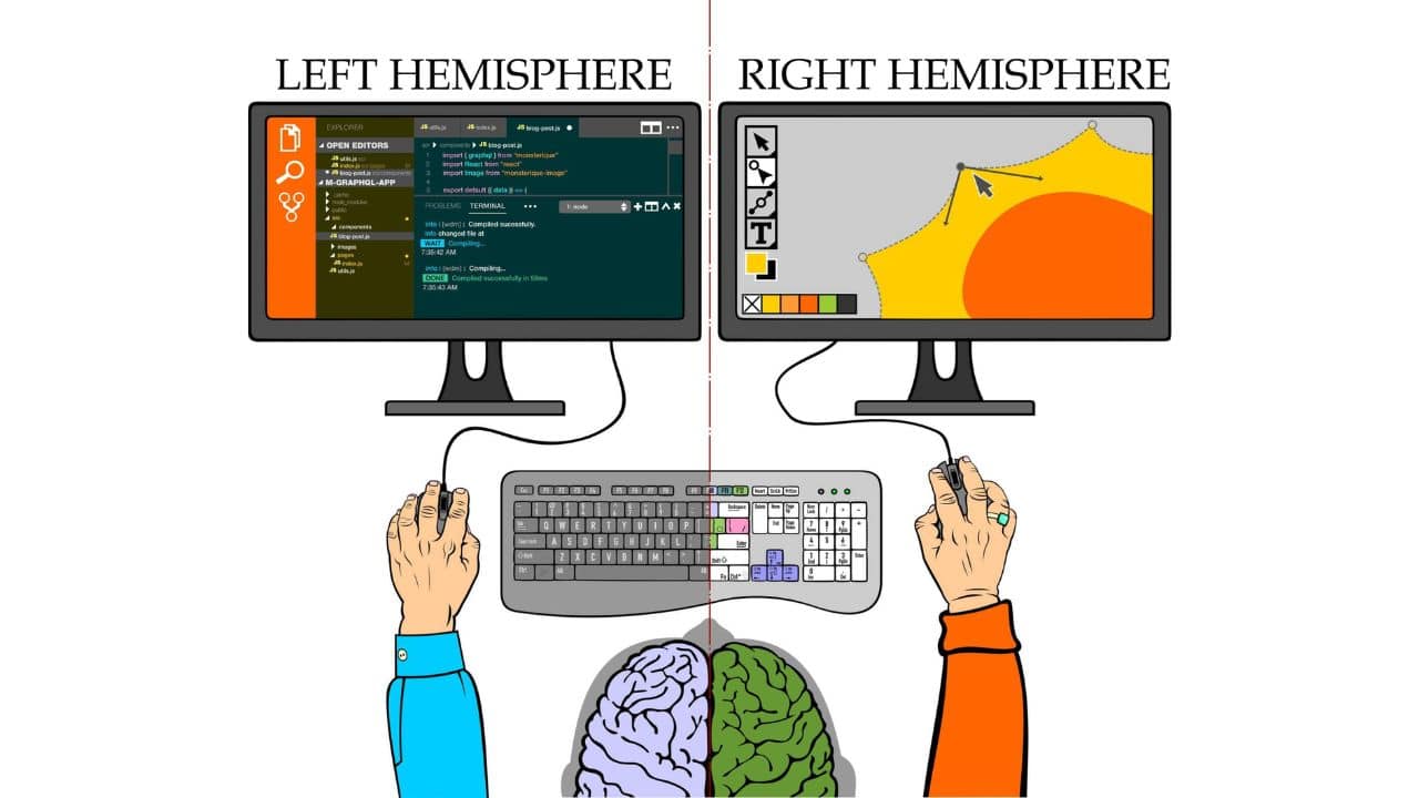 Left Brain vs Right Brain Test