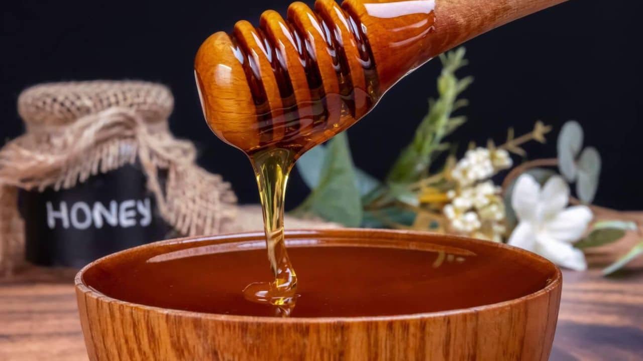 Most Expensive Honey