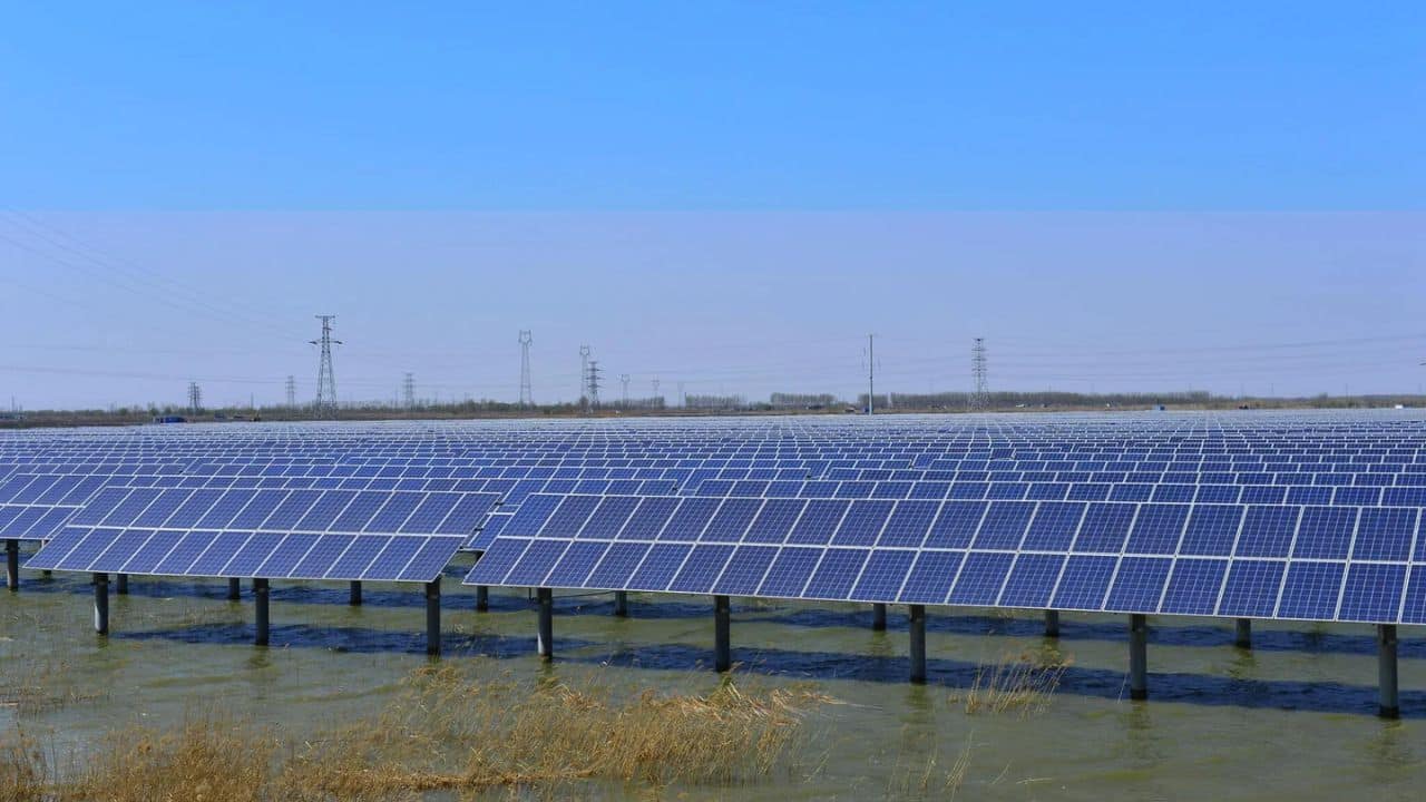 Adani Green 10000 MW Renewable Energy Milestone