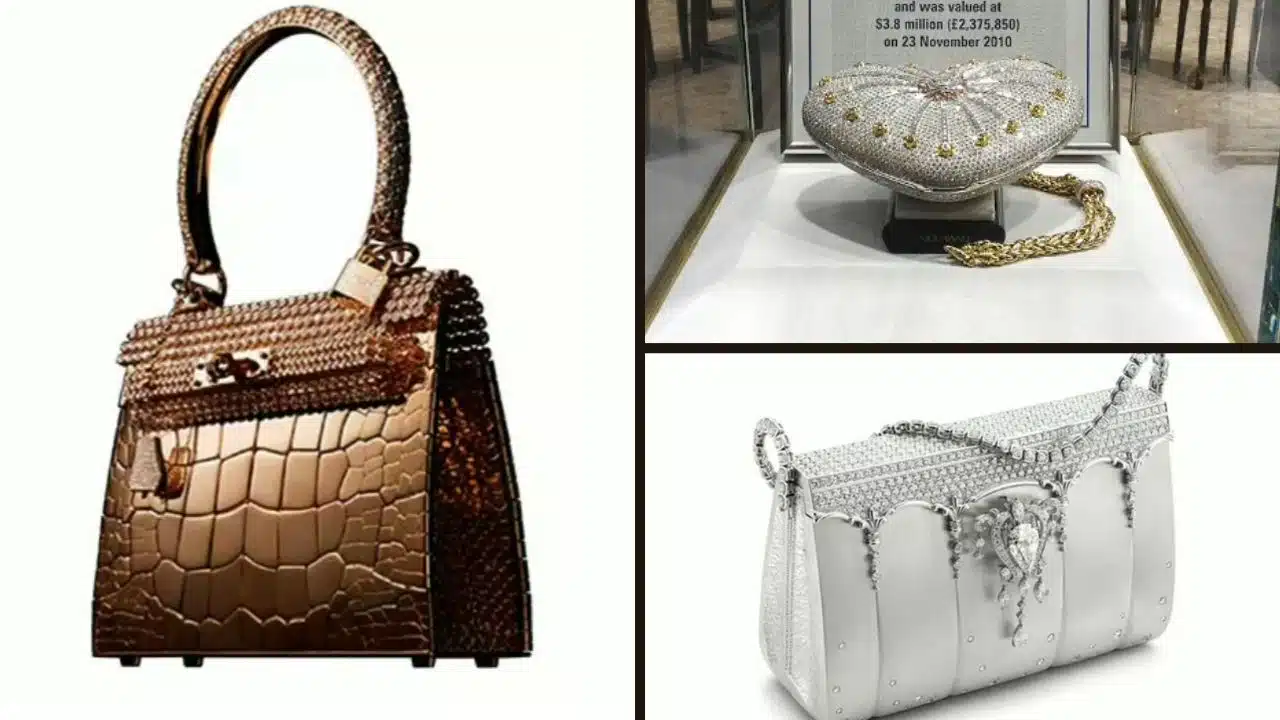 Most Expensive Handbags for Women in the World