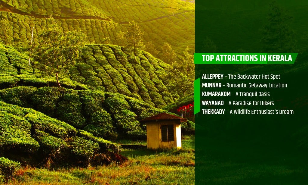 top attractions in Kerala