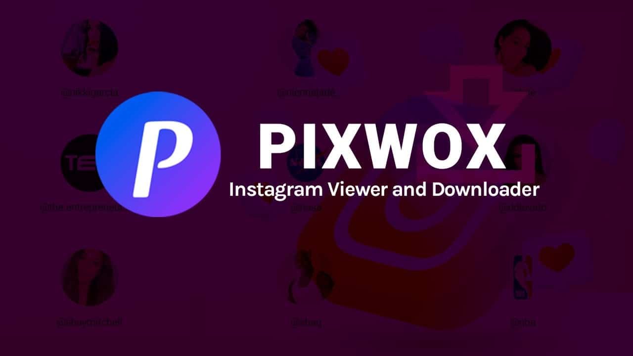How to Use Pixwox for Anonymous Instagram Story Downloading in 2024