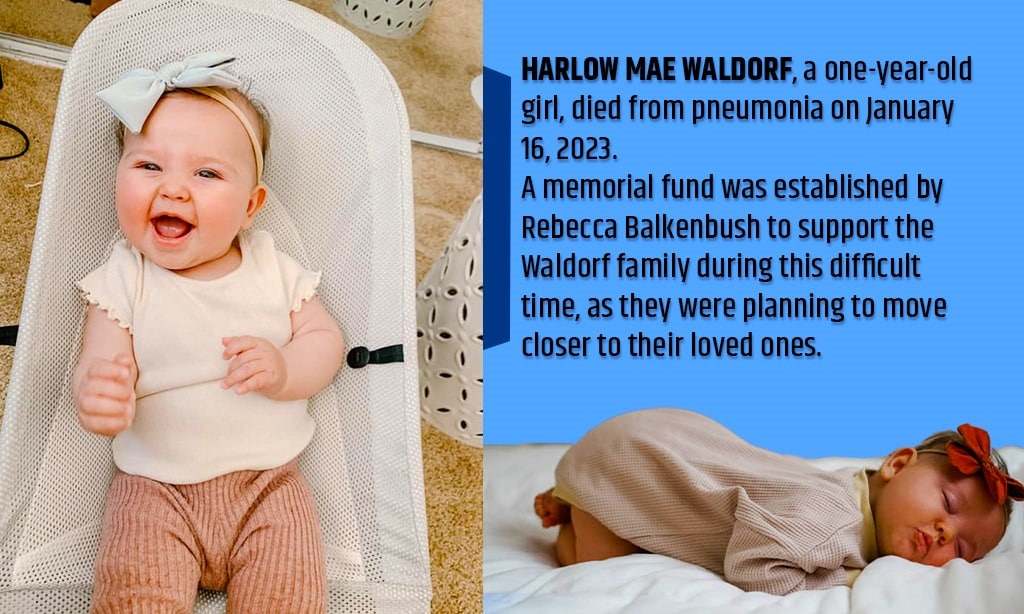 who is harlow mae waldorf