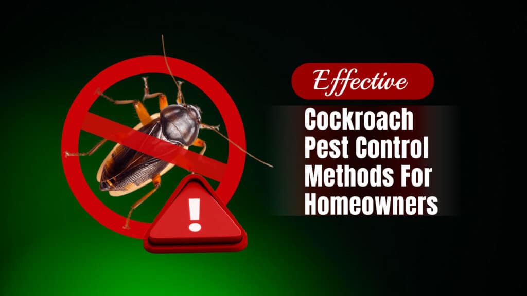 Effective Cockroach Pest Control Methods For Homeowners