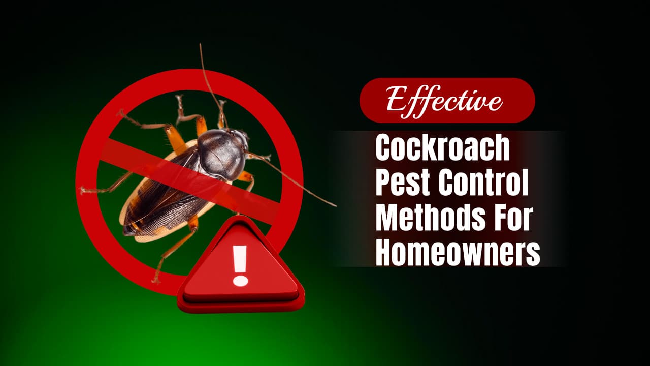 Effective Cockroach Pest Control Methods For Homeowners