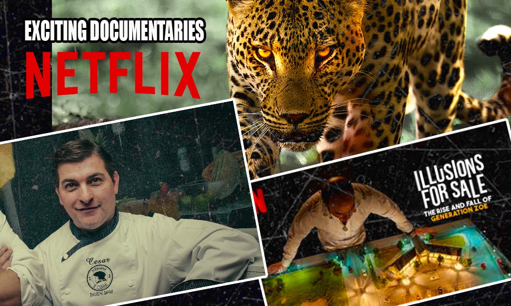 Exciting Documentaries to Look Out For