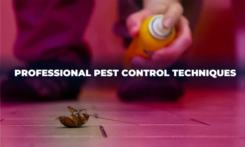 Professional Pest Control Techniques