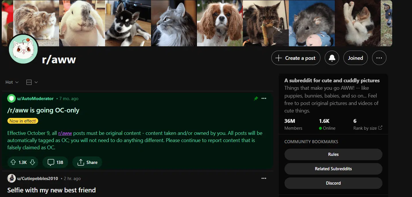 r/aww subreddit