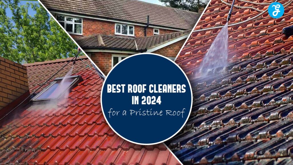 Best roof cleaners in 2024
