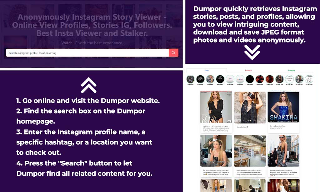 How to Use Dumpor for Anonymous Instagram Viewing