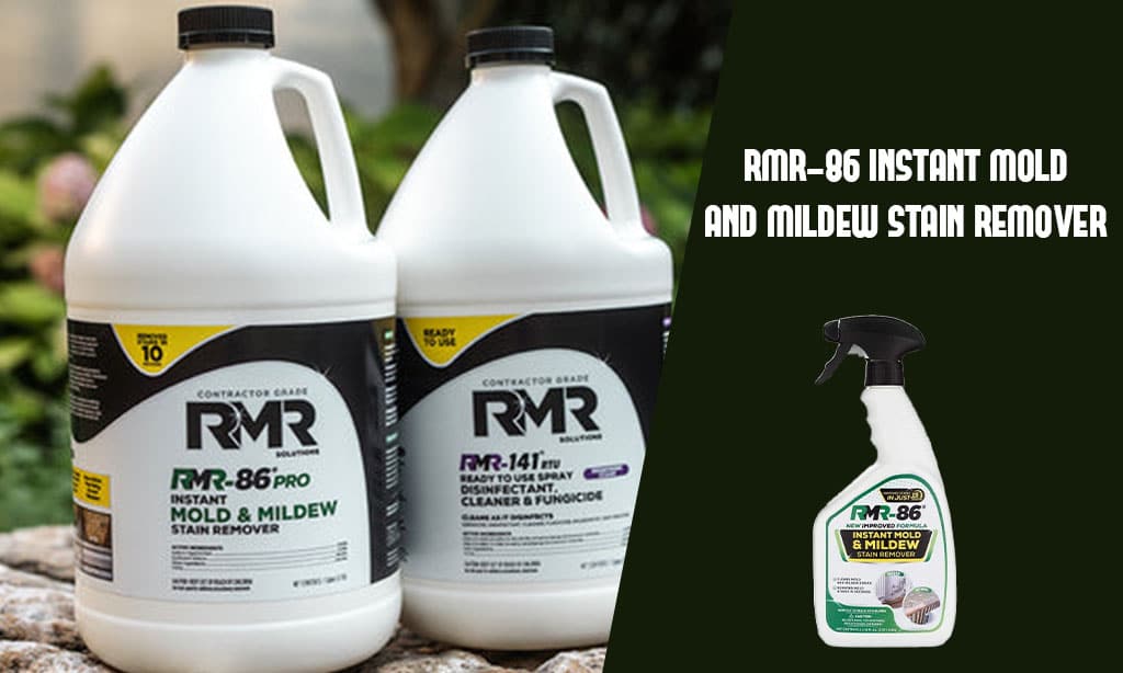 RMR-86 Instant Mold and Mildew Stain Remover