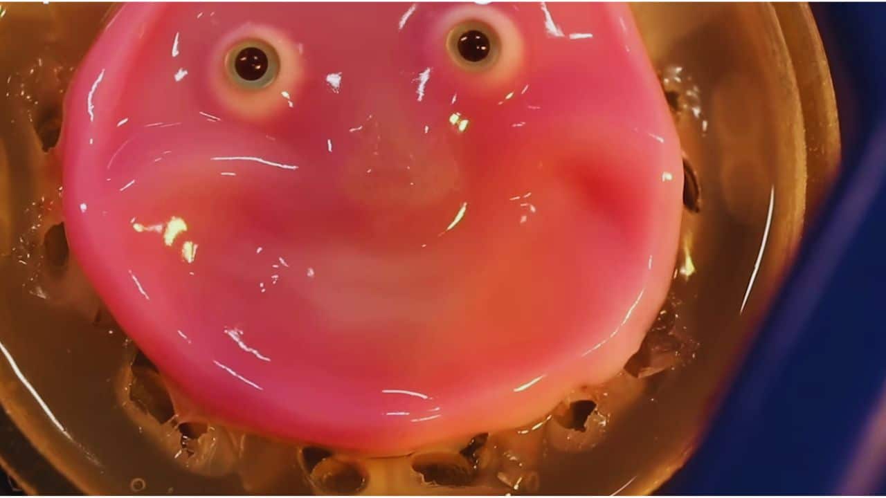 Smiling Robot Face with Living Human Skin Cells